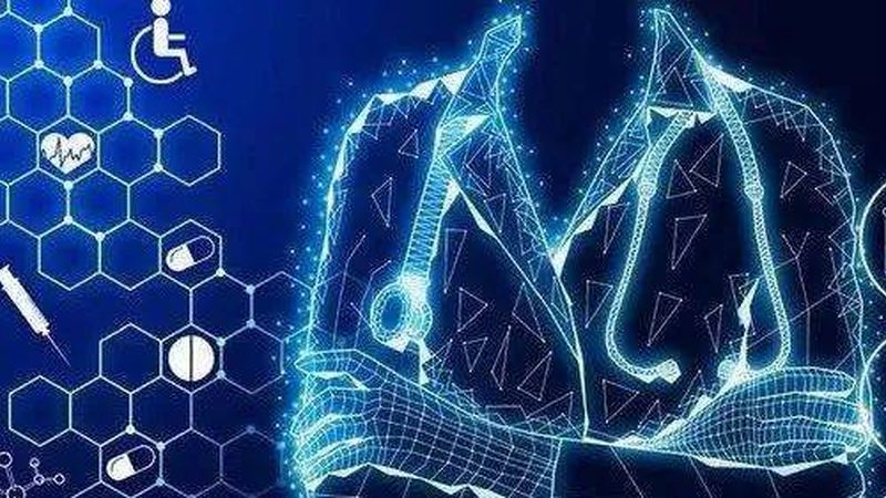 北京私人营养师：价格背后，看懂专业价值